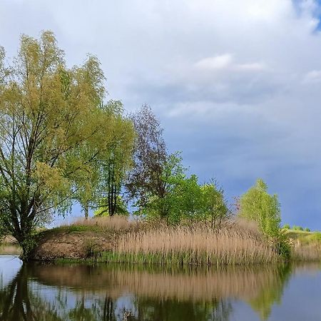 Gniazdo W Felicjanowie Унеюв Экстерьер фото